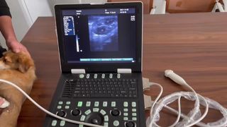 N50 Full Digital Ultrasonic Diagnostic Instruments