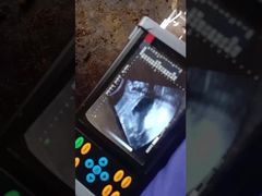 Portable veterinary ultrasound scanner  BR-VET7