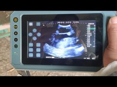 Portable veterinary ultrasound scanner  BR-VET8