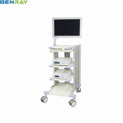Endoscope Trolley