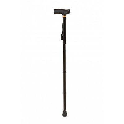Cane
