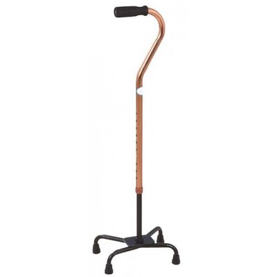 Cane