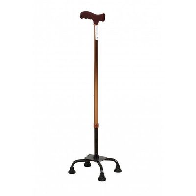 Cane