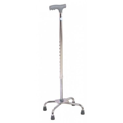 Cane