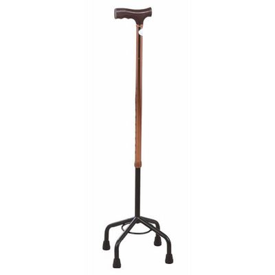 Cane
