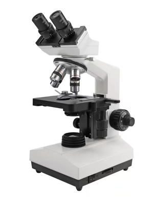 Binocular Microscope