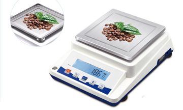 Precision Balance