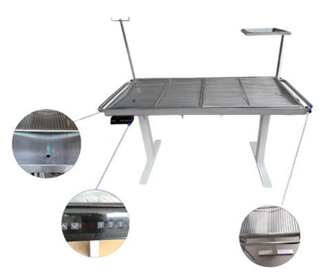 Intelligent Control Pet Operating Table I-Type Electric Lift Operating Table