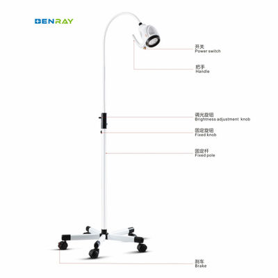 Hospital Medical Clinic Dental Exam Lamp Stand Mobile Halogen Examination Lamp