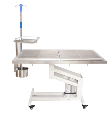 Stainless Steel 304 Electric Veterinary Operating Table Animal Operation Table