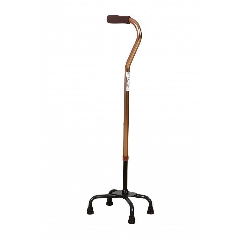 Cane