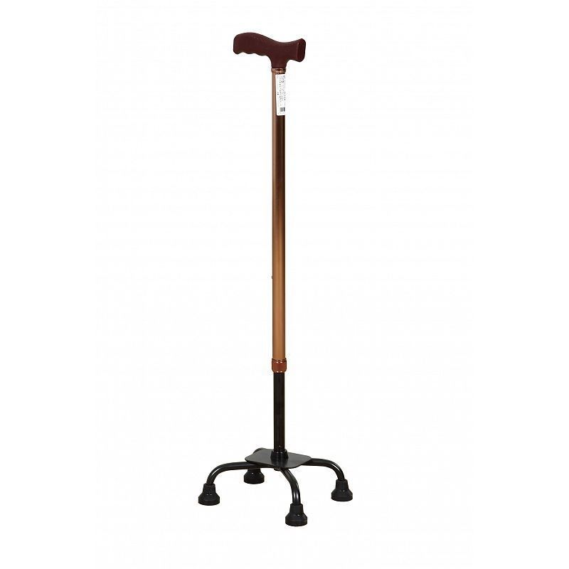 Cane