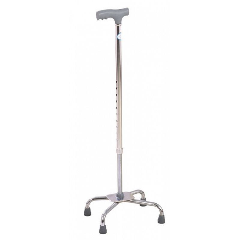 Cane